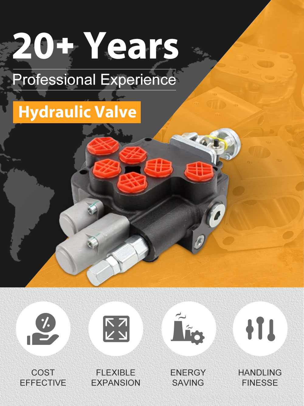 Valve Control Dump Air P80 Valve Series OEM and ODM: Hydraulic Directional Control Solutions detailed image